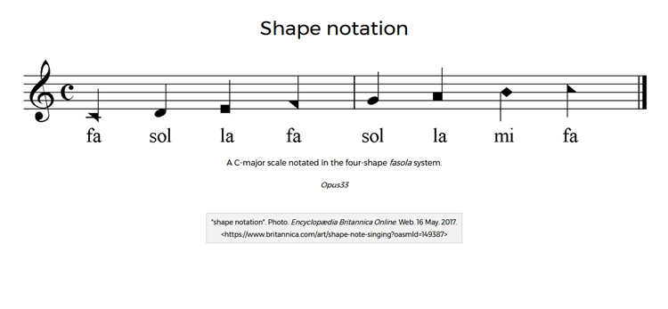 Shape Notation